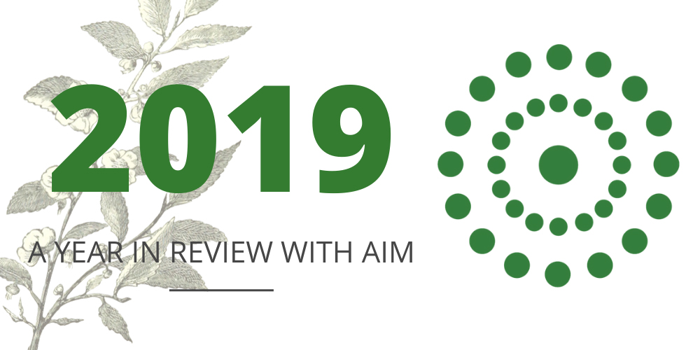 2019 aim review