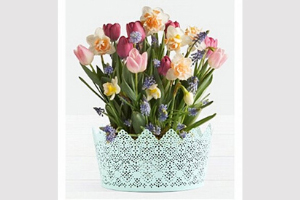 Mother's Day 2020 AIM Guide - 1Stop Florists Affiliate Program