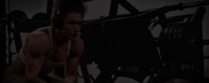 bodybuilding.com affiliate program